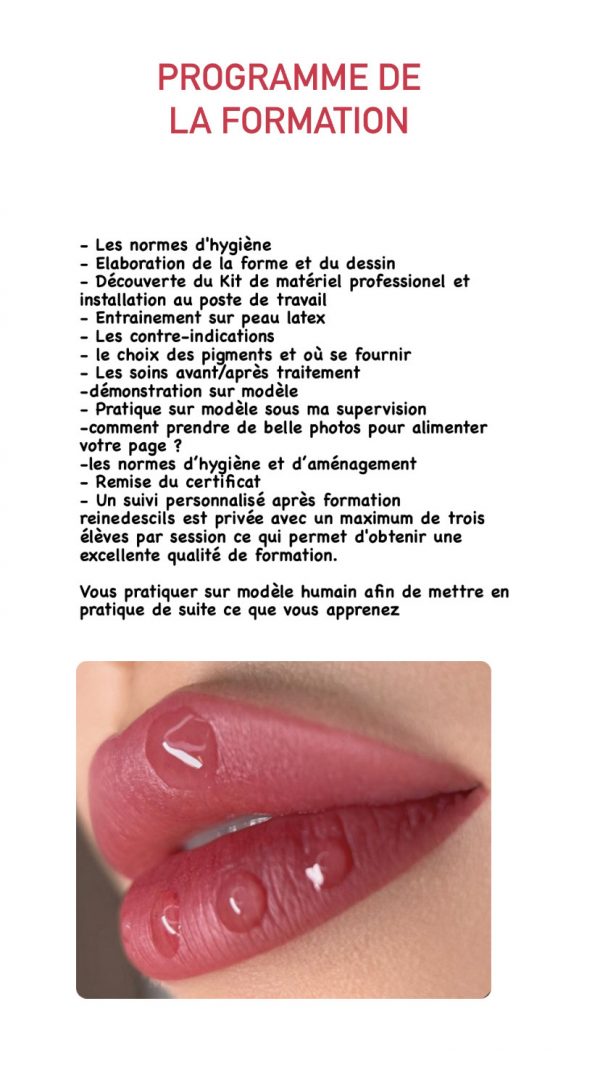 Formation Lips expert 2 en 1 : Dark lips et Blush Lips + kit inclus ( 2 jours ) – Image 2