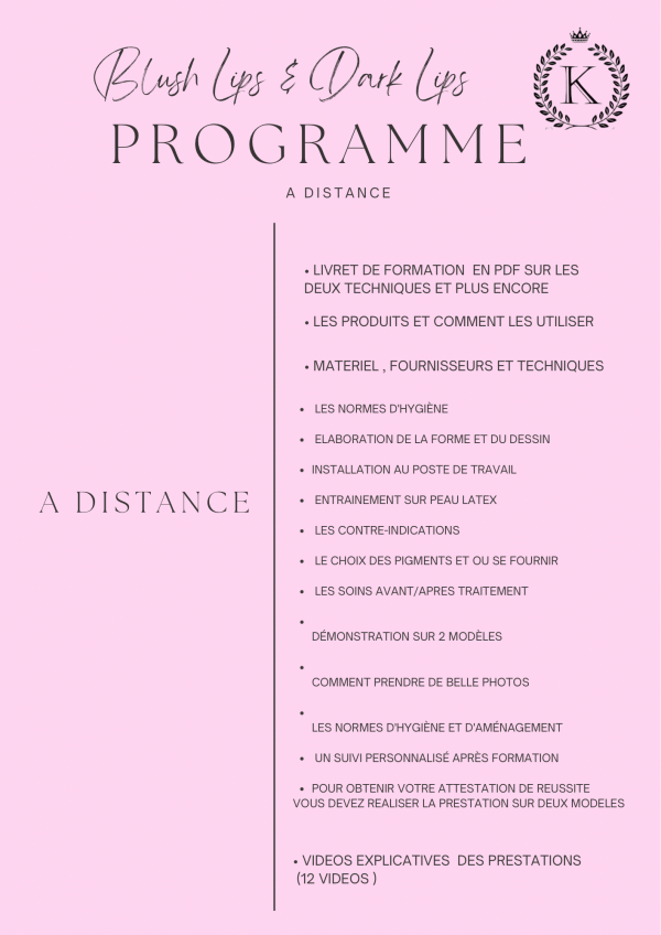 Formation Lips expert 2 en 1 : Blush Lips & dark Lips avec kit (à distance) – Image 4